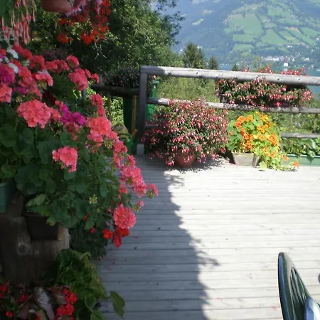 Ferienhaus Bergheim-eckelhart *